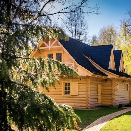Sucholand Villa Miedziana Gora Bagian luar foto