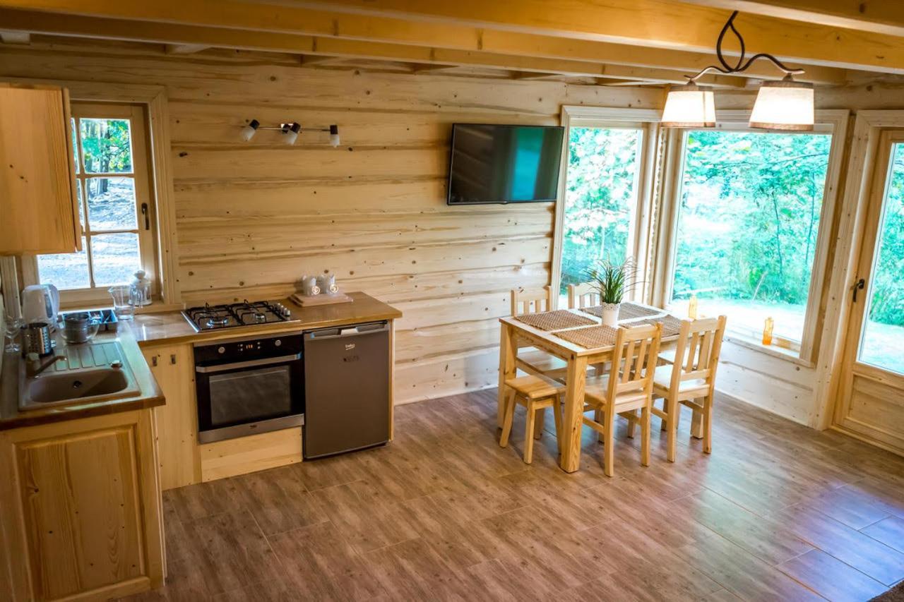 Sucholand Villa Miedziana Gora Bagian luar foto