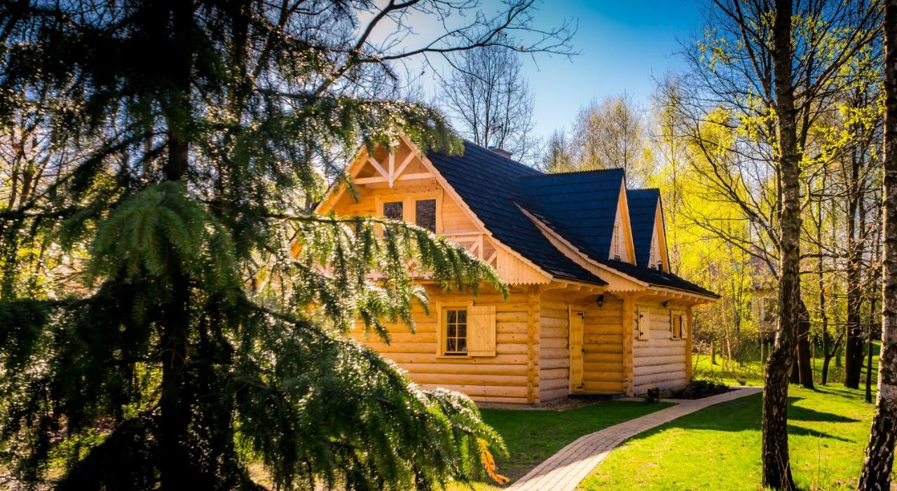 Sucholand Villa Miedziana Gora Bagian luar foto