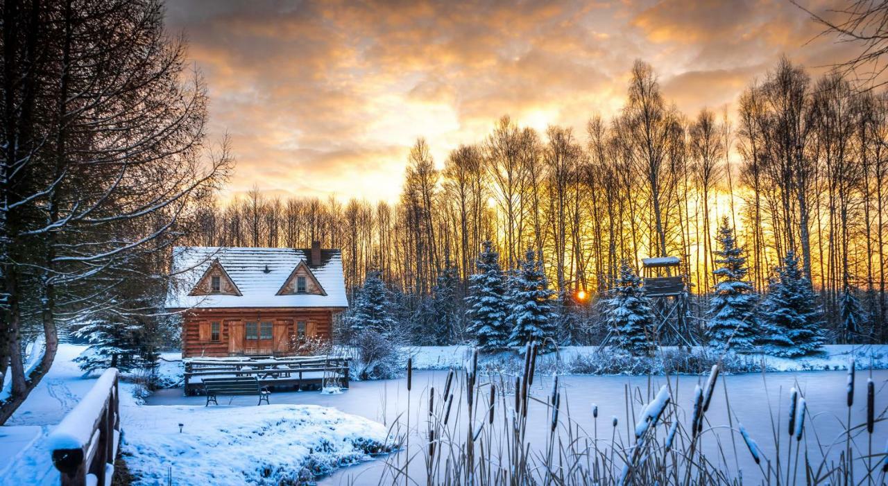 Sucholand Villa Miedziana Gora Bagian luar foto