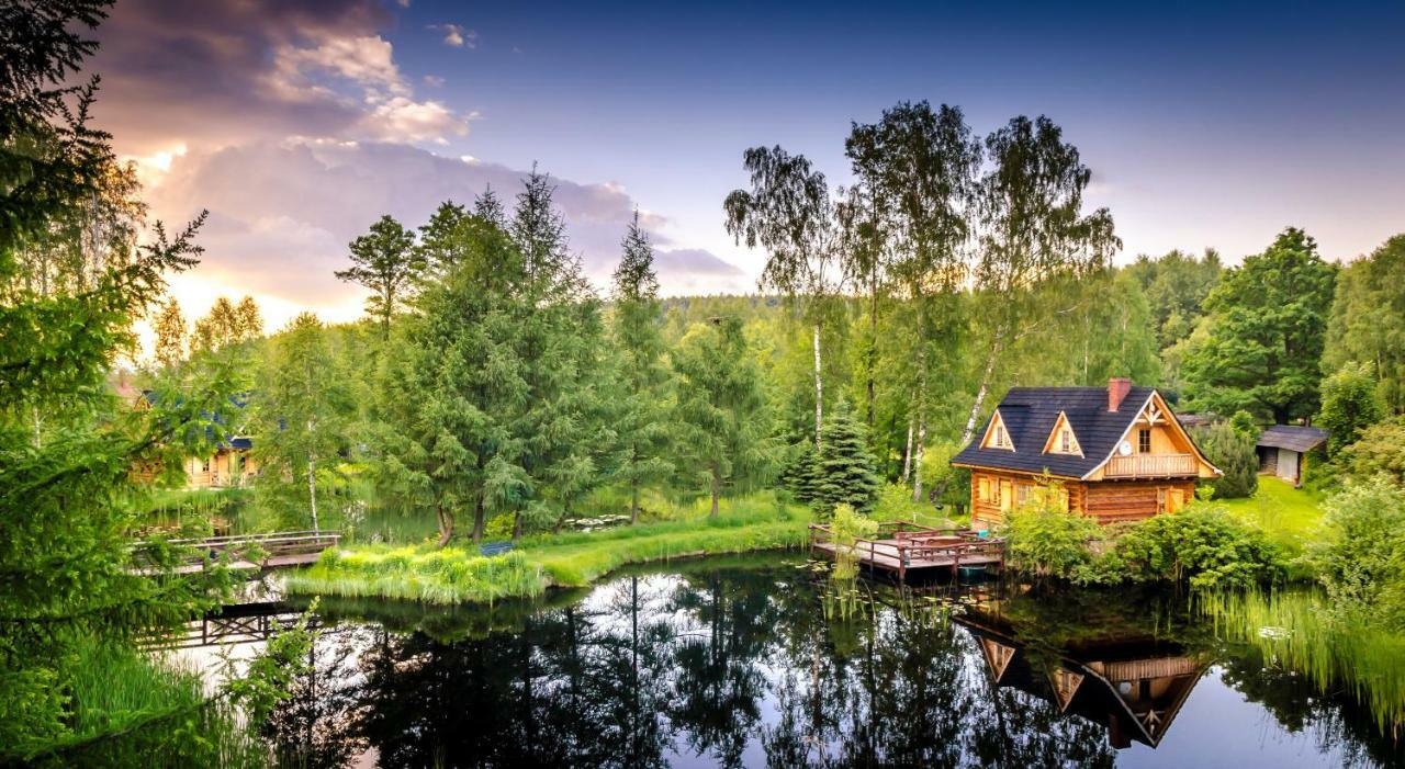 Sucholand Villa Miedziana Gora Bagian luar foto