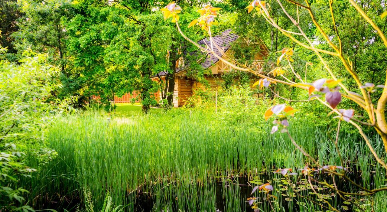 Sucholand Villa Miedziana Gora Bagian luar foto
