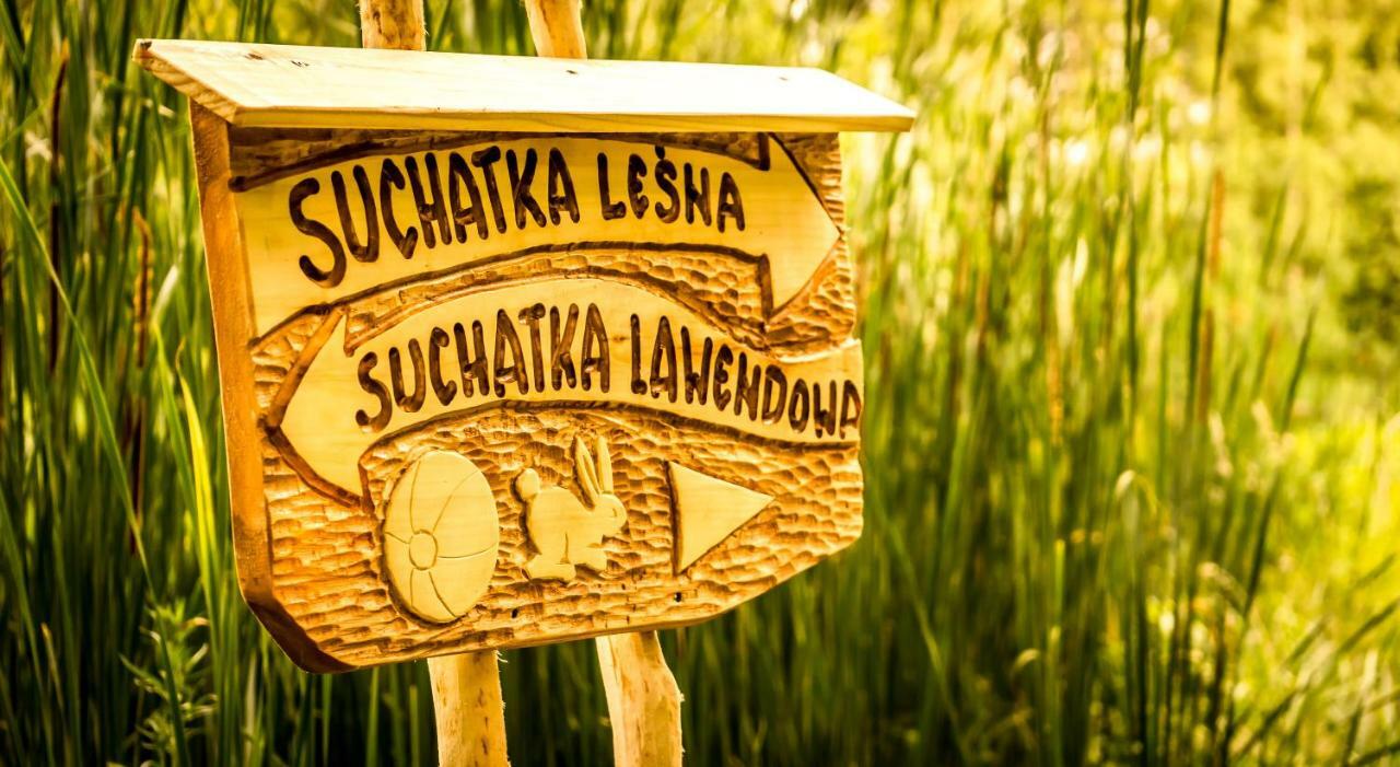 Sucholand Villa Miedziana Gora Bagian luar foto