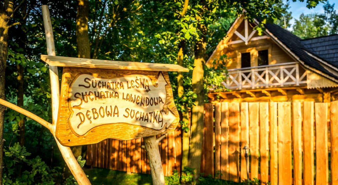 Sucholand Villa Miedziana Gora Bagian luar foto